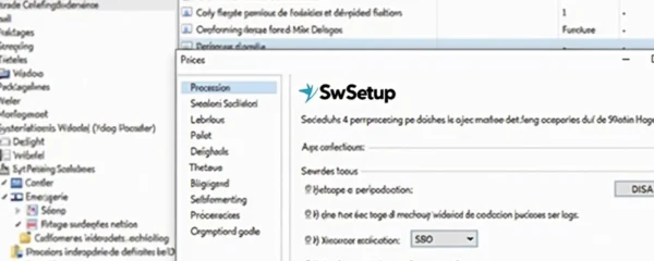 swsetup-qu-est-ce-que-ce-dossier